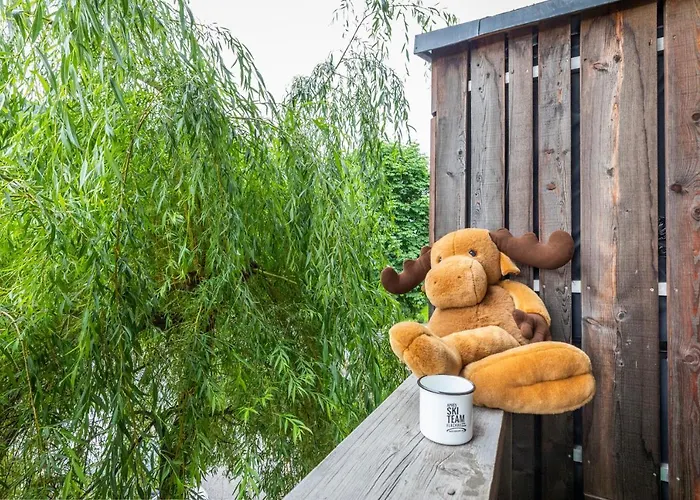 德伊廷格尔住宿加早餐旅馆 弗拉绍